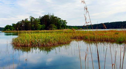Horizon cropped