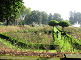 Peninsula Park Rose Garden