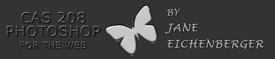 CAS208 Photoshop Logo