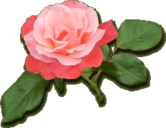 Rose1 with index transparent-png