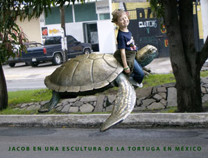 Montage: Jacob and the Oregon Aquarium turtle in Mexico