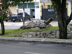 Turtle sculpture in Mexico