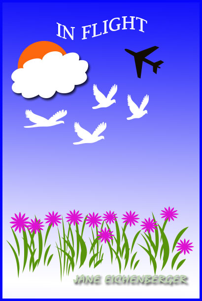 In Flight